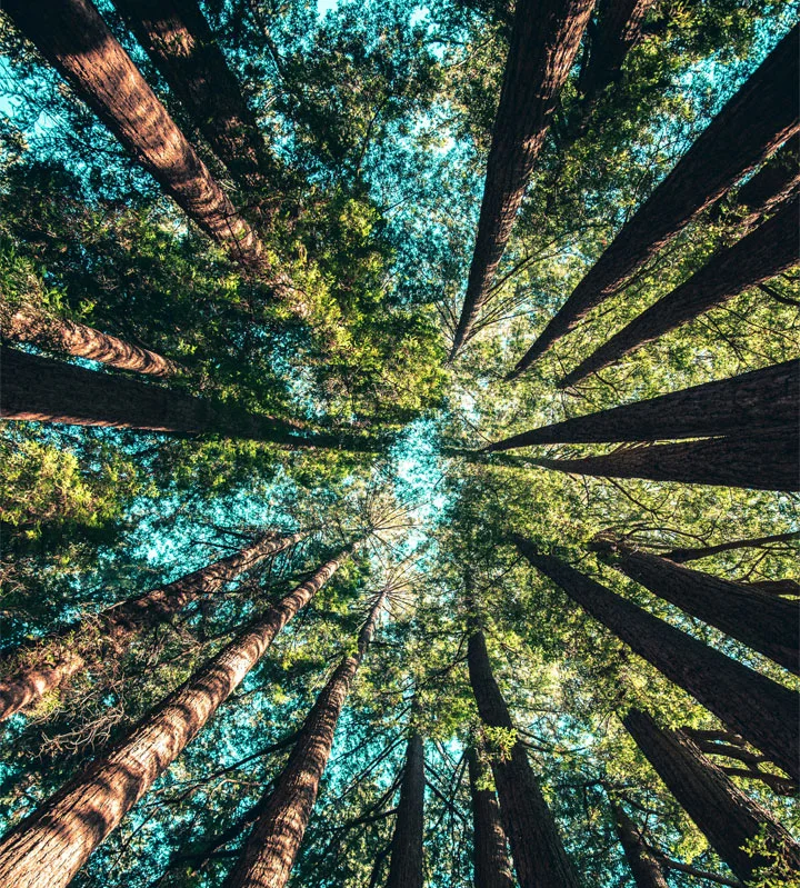 SafeNet work package 3