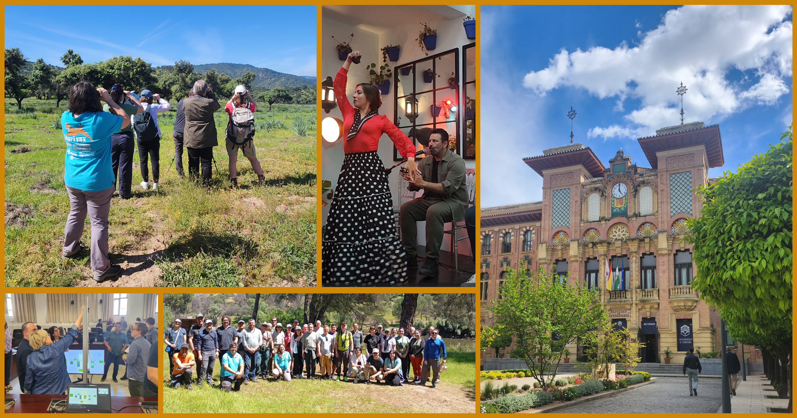 From meetings to mountains visit: the SafeNet partners in Cordoba