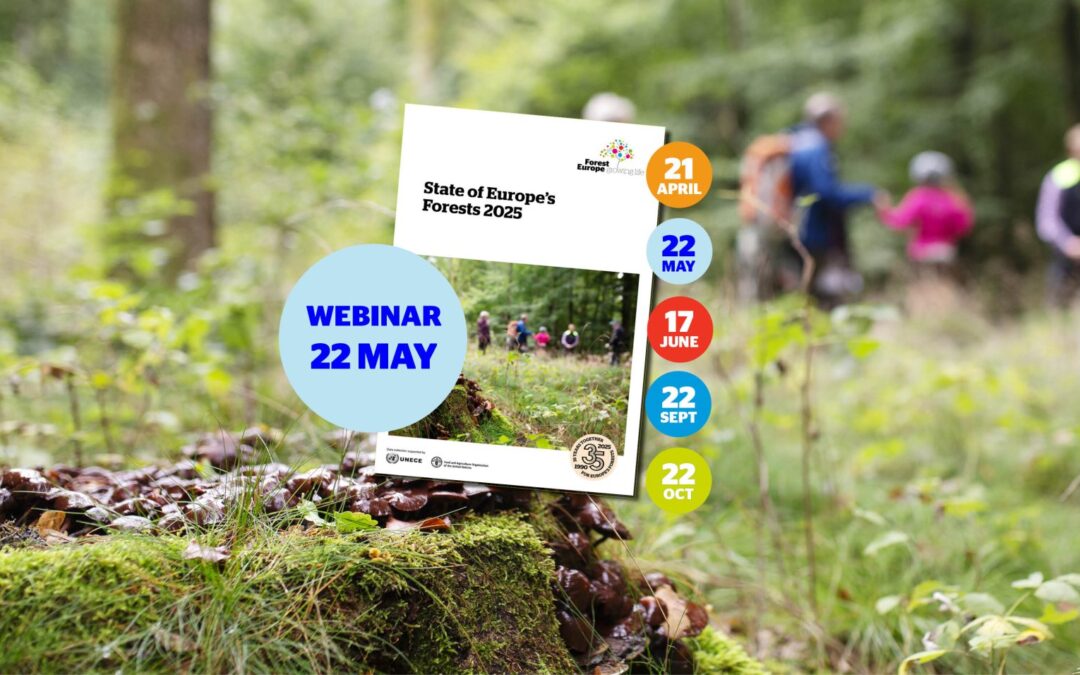 WEBINAR: Do Europe’s forests suffice?